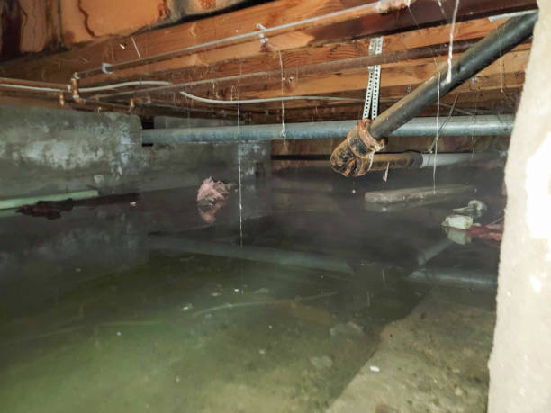 Best Commercial water damage restoration  in Hamilton, MT