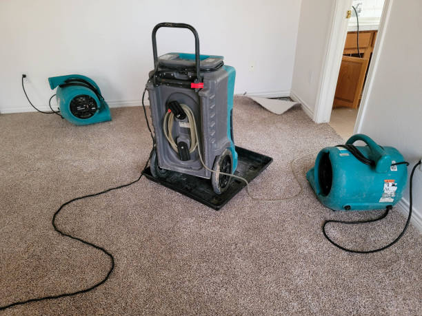 Best Flooded house restoration  in Hamilton, MT
