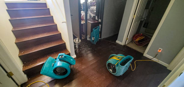 Best Water damage restoration services  in Hamilton, MT