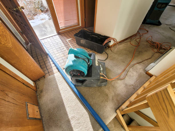 Hamilton, MT Water damage restoration Company