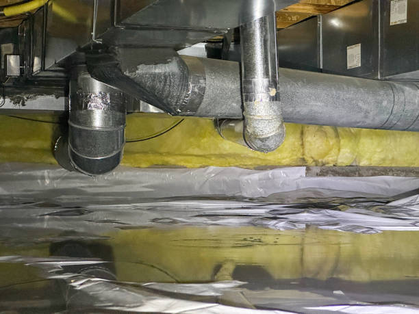 Best Residential water damage restoration  in Hamilton, MT