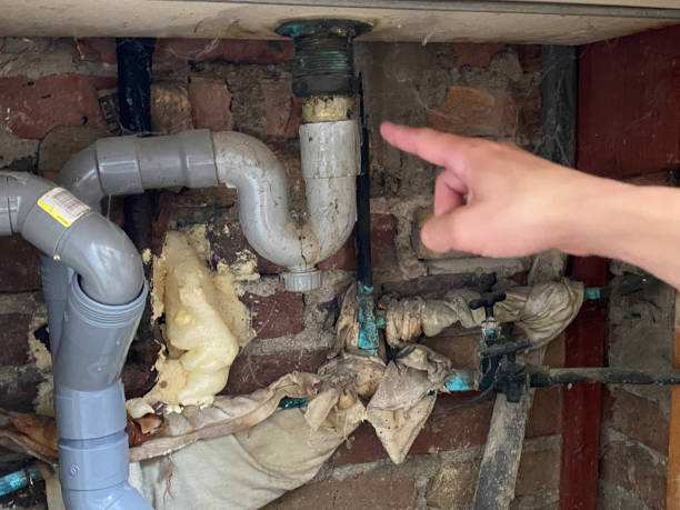 Best 24-hour water damage restoration  in Hamilton, MT