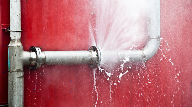 Best Carpet water damage restoration  in Hamilton, MT